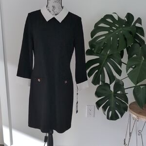 Elegant Black and White Women's Dress